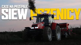 🚜Siewy pszenicy 2022 🌿😎 Case,Unia Poznaniak🔥Wieczorna Akcja