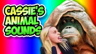 Gronkh Best Of Cassie's Animal Sounds