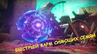 Destiny 2: Быстрый фарм Сияющих Семян для Кузниц