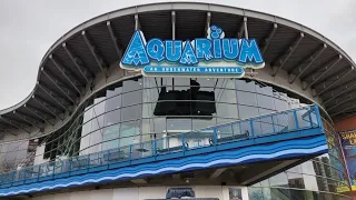 Downtown Denver Aquarium | 2022 | 4K