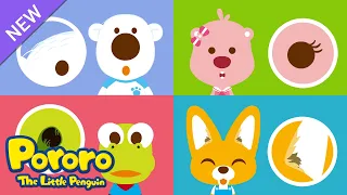 Hairy Hair Song | Learn about our Body😊 | Pororo Body Exploration | Pororo English