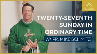 Twenty-seventh Sunday in Ordinary Time - Mass with Fr. Mike Schmitz