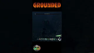 Grounded ► Шакалы хитры и чуют слабость ► whoa!  #sqvr