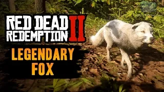 Red Dead Redemption 2 Legendary Animal - Legendary Fox