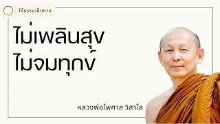 ไม่เพลินสุขไม่จมทุกข์ - พระไพศาล วิสาโล -