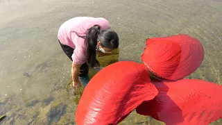 Fantastic underwater world, beautiful women unexpectedly receive pearl gifts from clams and oysters