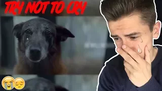 TRY NOT TO CRY CHALLENGE | ПОПРОБУЙ НЕ ЗАПЛАКАТЬ ЧЕЛЛЕНДЖ