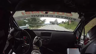 Video Rally Camera Car (Cocco - Deiana) peugeot 207 Super 2000