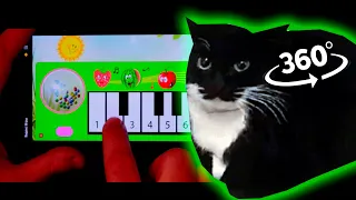Maxwell The Cat / 1$ piano APP in 360° VR