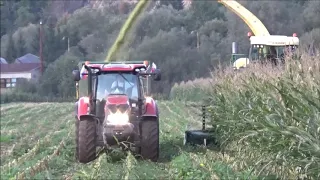 Siláže 2019 - Krone Big X, 5x Case IH, 3x John Deere, Manitou