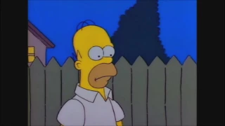 Homer Gets Mad At Bart For Not Being A Genius - The Simpsons