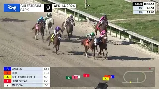 Gulfstream Park Carrera 9  - 14 de Abril 2024