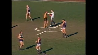 1997 - Round 17 - Hawthorn vs Fremantle