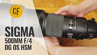 Sigma 500mm f/4 DG OS HSM lens review with samples