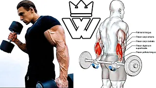 12 Exercises to Build Bigger Arms (Triceps, Biceps, Forearm Workout)