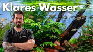 So bekommt man klares Wasser im Aquarium!