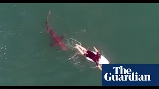 Australian pro surfer Matt Wilkinson's narrow escape from shark caught on camera