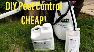 How To Kill Mosquitoes Like The Pros