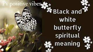 @PVPositiveVibes1111 Black & white butterfly spiritual meanings 🦋🎇🌠🧿