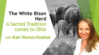 “The White Bison: A Sacred Tradition Returns to Ohio” featuring Kari Noren-Hoshal