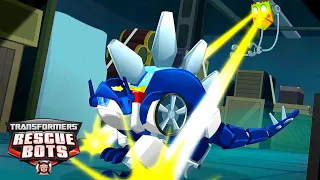 RUN Chase! 🦕 | Transformers: Rescue Bots | Kids Cartoon | Transformers Kids