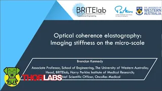 Optical Coherence Elastography: Imaging Stiffness on the Micro-Scale
