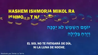 Yosef Karduner - Shir LaMaalot & Mekimi - שיר למעלות & מקימי