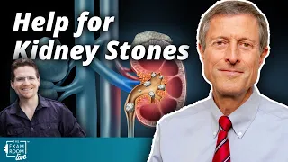 Kidney Stones: What Foods Help | Dr. Neal Barnard Q&A On The Exam Room LIVE