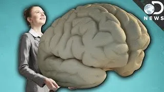 Why Do Humans Have Such Big Brains?