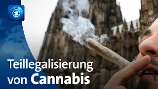 Volljährige können in Deutschland legal Cannabis besitzen und konsumieren