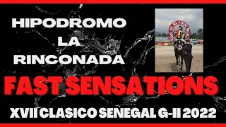 XVII Clásico Senegal GII 2022 - FAST SENSATIONS - Hipódromo La Rinconada - Serie Hípica del Caribe