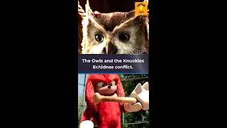 The OWLS and the KNUCKLES ECHIDNAS conflict IN SONIC THE HEDGEHOG🔥