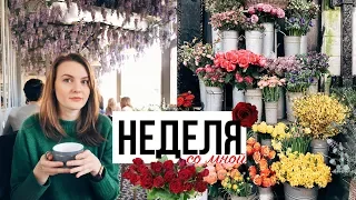 VLOG: ЧТО Я ДЕЛАЛА НА ЭТОЙ НЕДЕЛЕ?