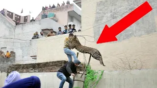When Leopards Attack