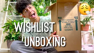 Costa Farms Plant Shop Unboxing | Houseplant Wishlist Unboxing | Network Calathea From Costa Farms