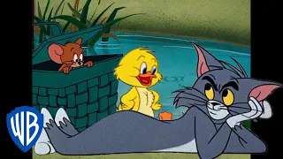 Tom & Jerry em Português 🇧🇷 | Brasil | Preparativos Para a Primavera | @WBKidsBrasil​