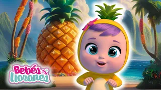 ESPECIAL BEBÉS LLORONES TUTTI FRUTTI 💦 LÁGRIMAS MÁGICAS 💕 CAPITULOS Completos para NIÑOS en español