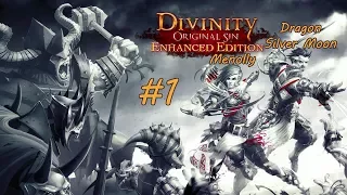 Большой забег Divinity Original Sin Серия 1 "Скелет-сторожила"