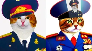 Нейросеть рисует мемы с котами #нейросеть #рисует #мем #мемы #котики #коты #кот