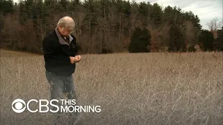 Soybean farmer says climate change is to blame for bad harvest