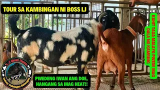TOUR SA KAMBINGAN NI BOSS LJ FARM/GOAT FARMING PHILIPPINES/BOER GOAT BREEDER/TITAN STUD SERVICE