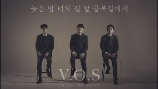 VOS 늦은 밤 너의 집앞 골목길에서 (노을) cover