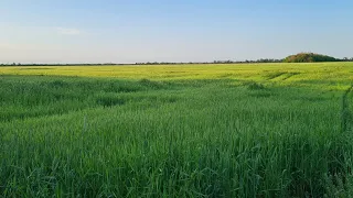 Екатеринбург-Кучугуры. Дорога на юг. Долгожданный отпуск