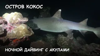 Мир Приключений - Ночной дайвинг с акулами. Остров Кокос. Night diving with sharks. Cocos island.