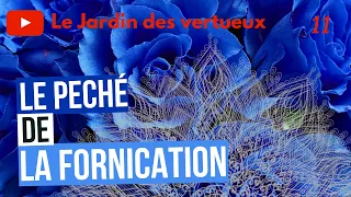 11/ Le péché de la fornication