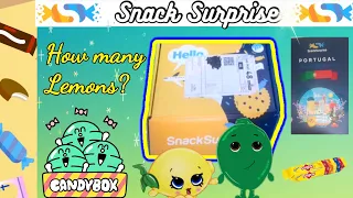 Snack Surprise Subscription Box, Portugal Theme, Surprise box opening