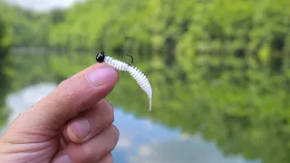 This Little Fishing Lure is Insane!