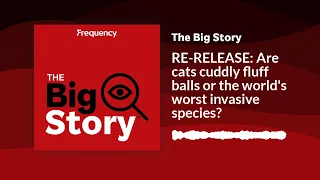 RE-RELEASE: Are cats cuddly fluff balls or the world's worst invasive species? | The Big Story