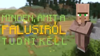 Minecraft: Minden, amit a Falusiról tudni kell!