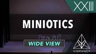 Miniotics | VIBE XXIII 2018 [@VIBRVNCY 4K]